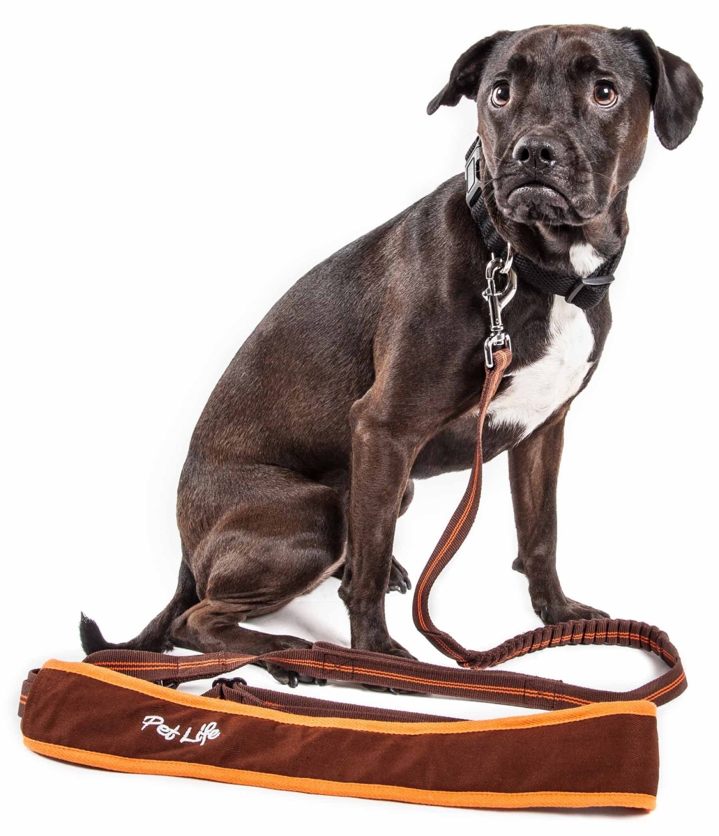 Pet Life  Free-Fetcher Hands Free Over-The-Shoulder Shock Absorbent Dog Leash, Brown - Small -  Natural Life Pet Products, PE434152