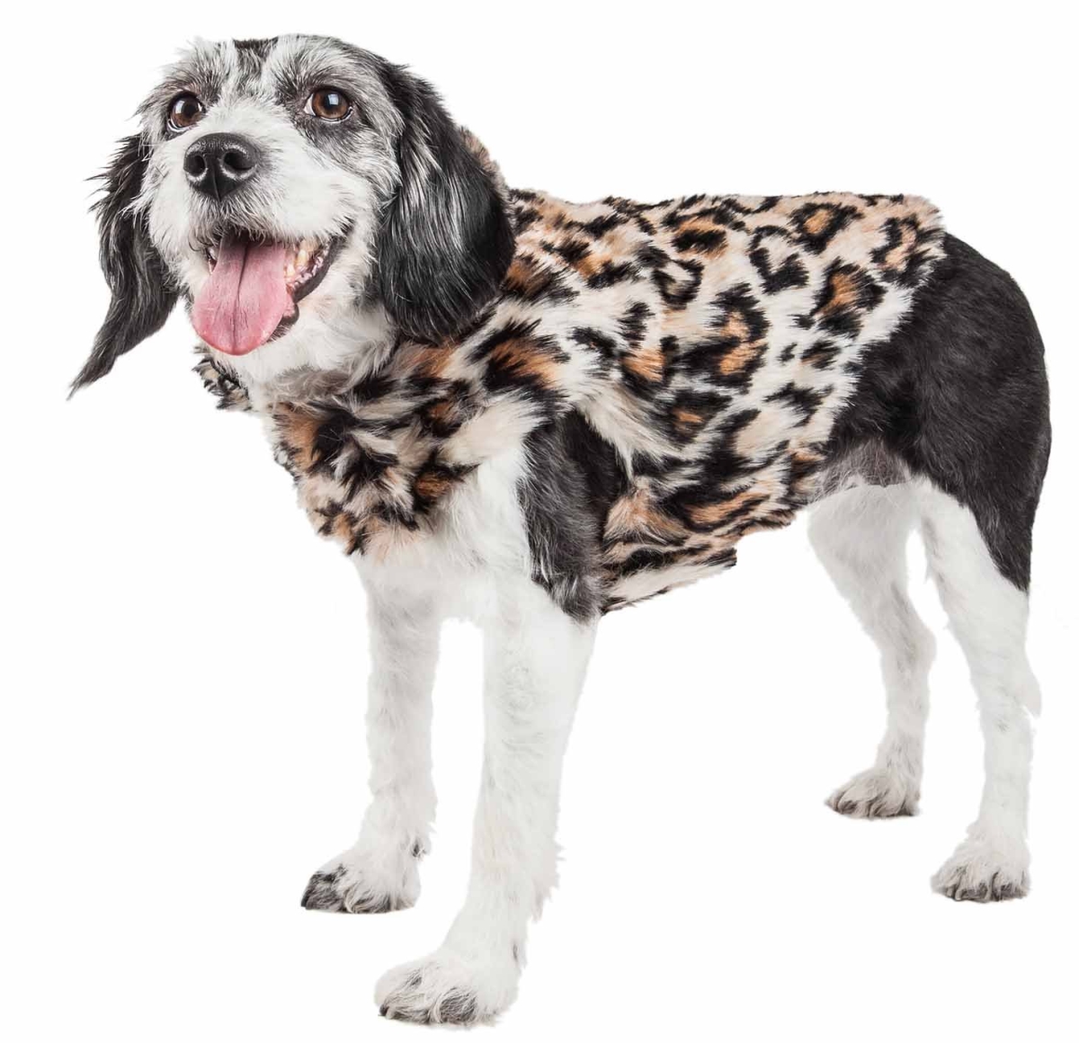 Picture of Pet Life 40LPMD Luxe Lab-Pard Dazzling Leopard Patterned Mink Fur Dog Coat Jacket&#44; Brown & Black - Medium