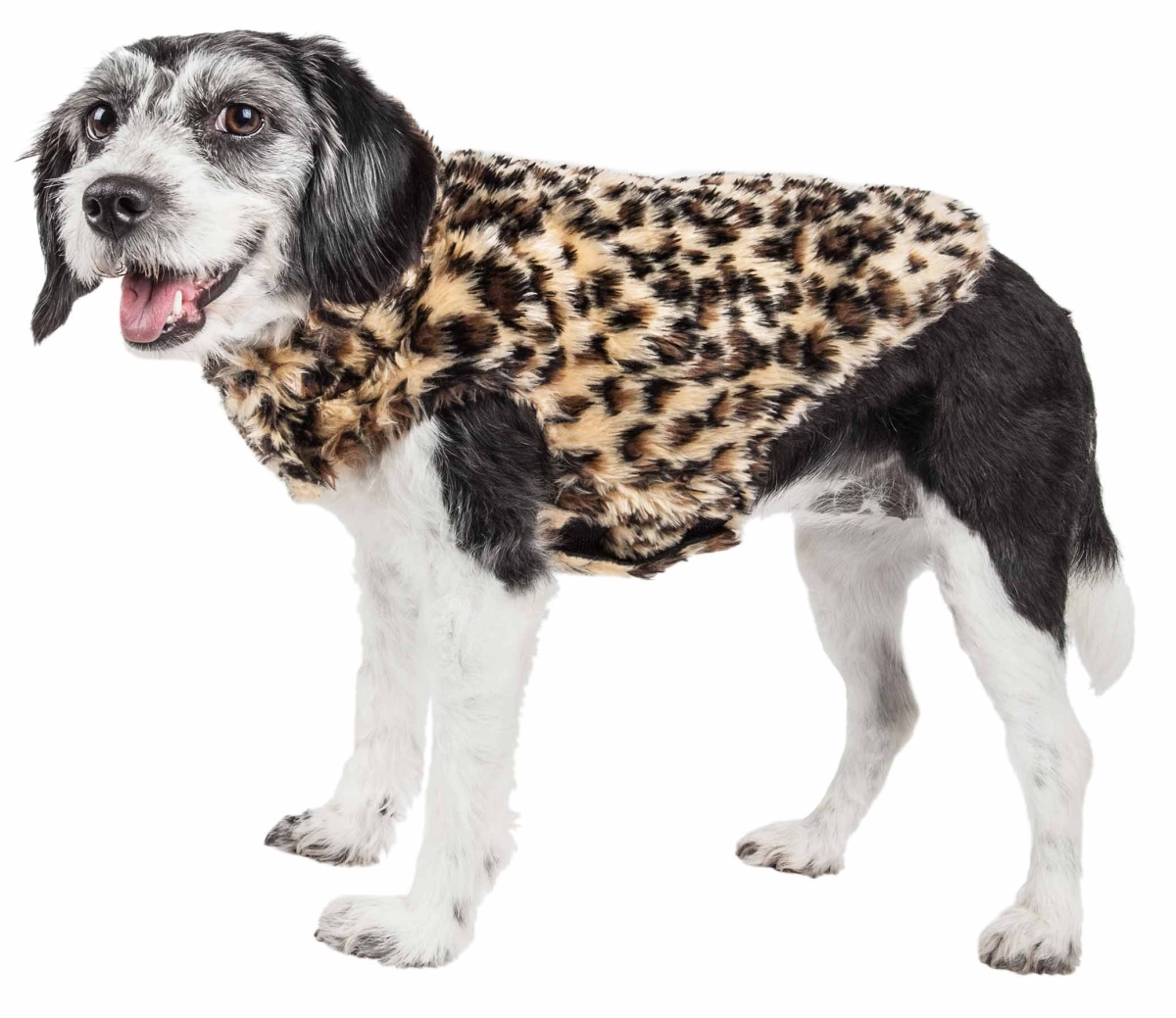 Picture of Pet Life 42CHMD Luxe Poocheetah Ravishing Designer Spotted Cheetah Patterned Mink Fur Dog Coat Jacket&#44; Brown & Black - Medium