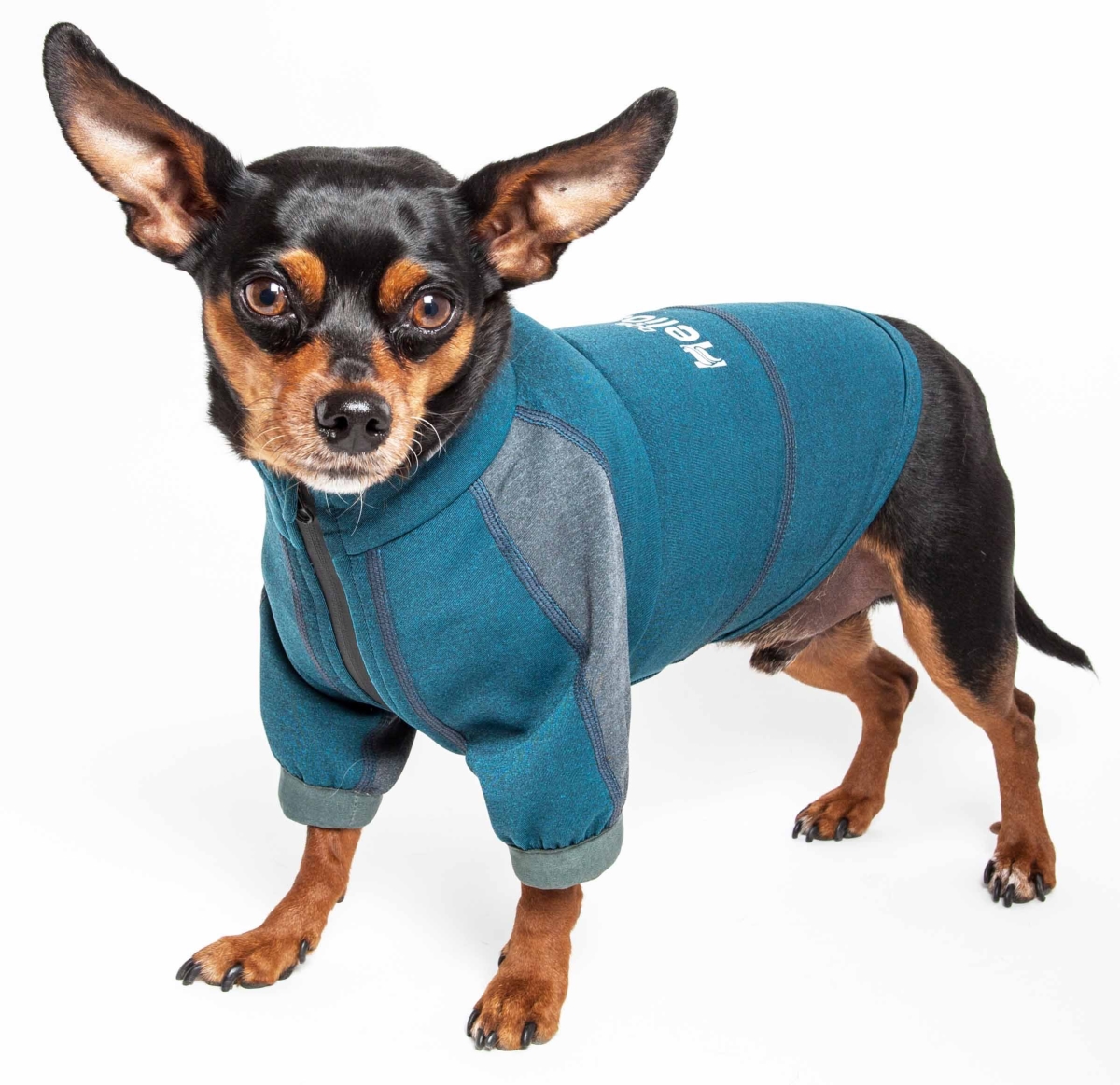 Picture of Dog Helios TSHL6BLMD Eboneflow Mediumweight 4-Way-Stretch Flexible & Breathable Performance Dog Yoga T-Shirt&#44; Ocean Blue & Grey - Medium
