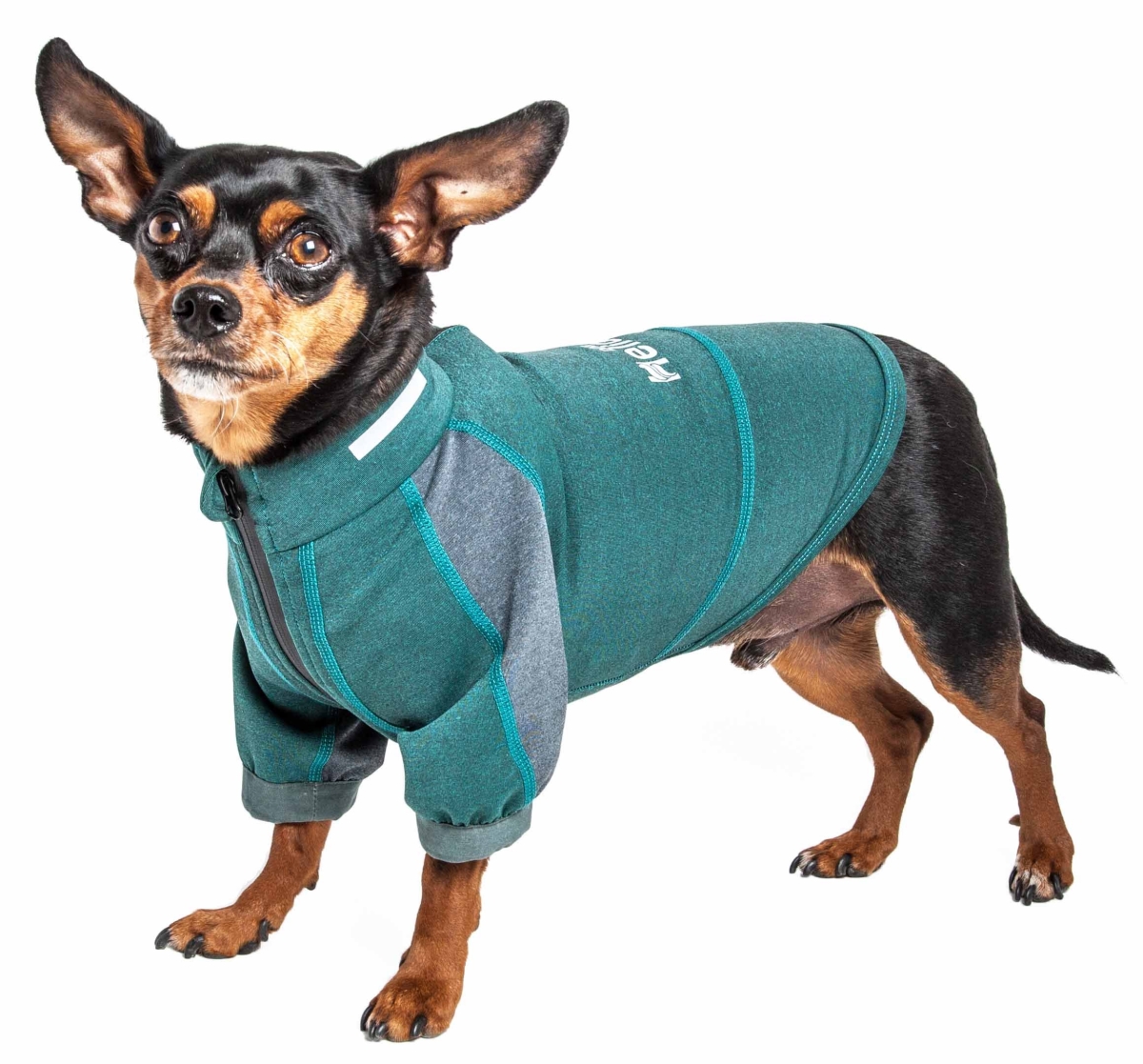 Picture of Dog Helios TSHL6GNXS Eboneflow Mediumweight 4-Way-Stretch Flexible & Breathable Performance Dog Yoga T-Shirt&#44; Forest Green & Grey - Extra Small