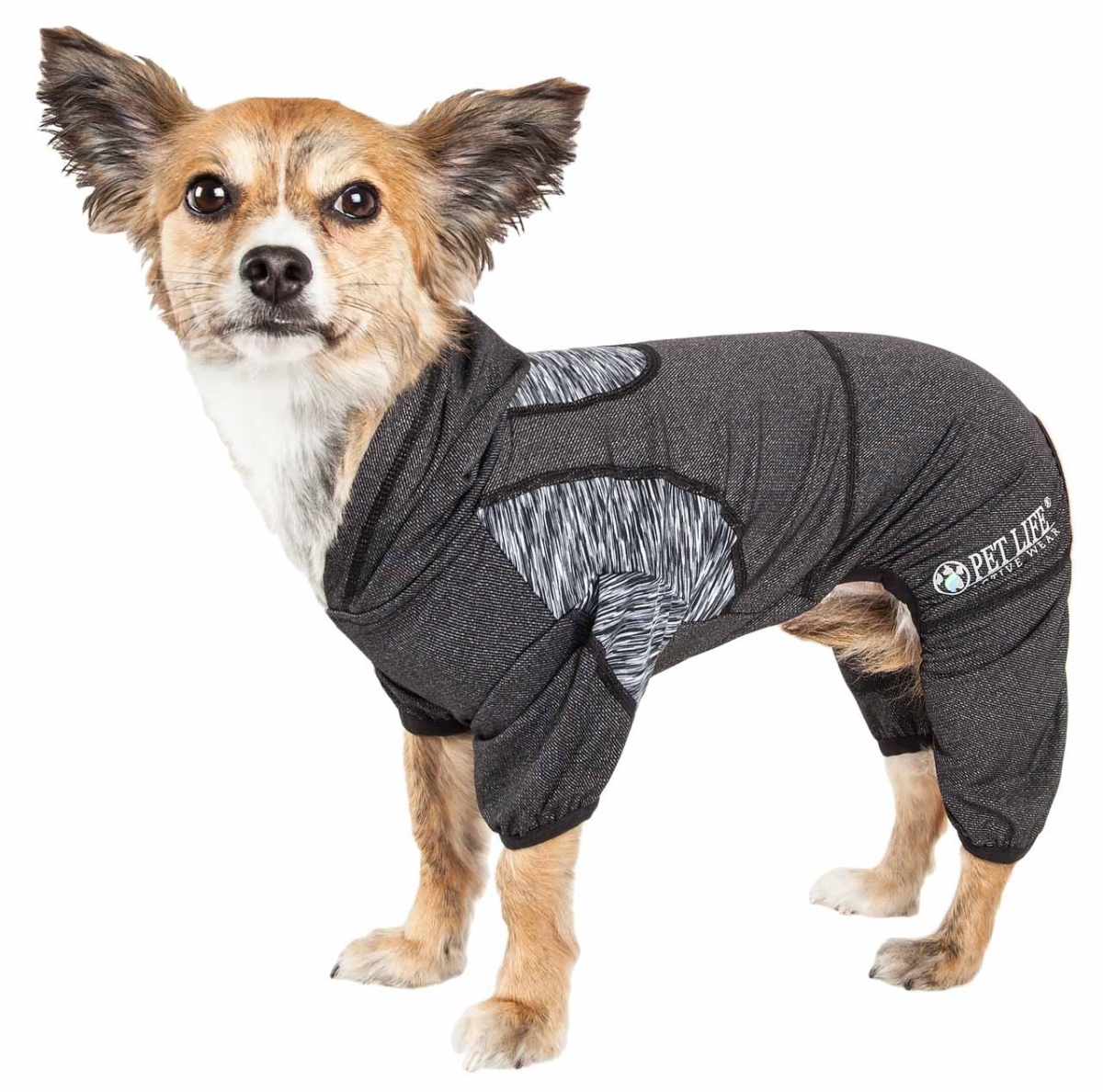 Active Pawsterity Heathered Performance 4-Way Stretch Two-Toned Full Bodied Hoodie, Black - Small