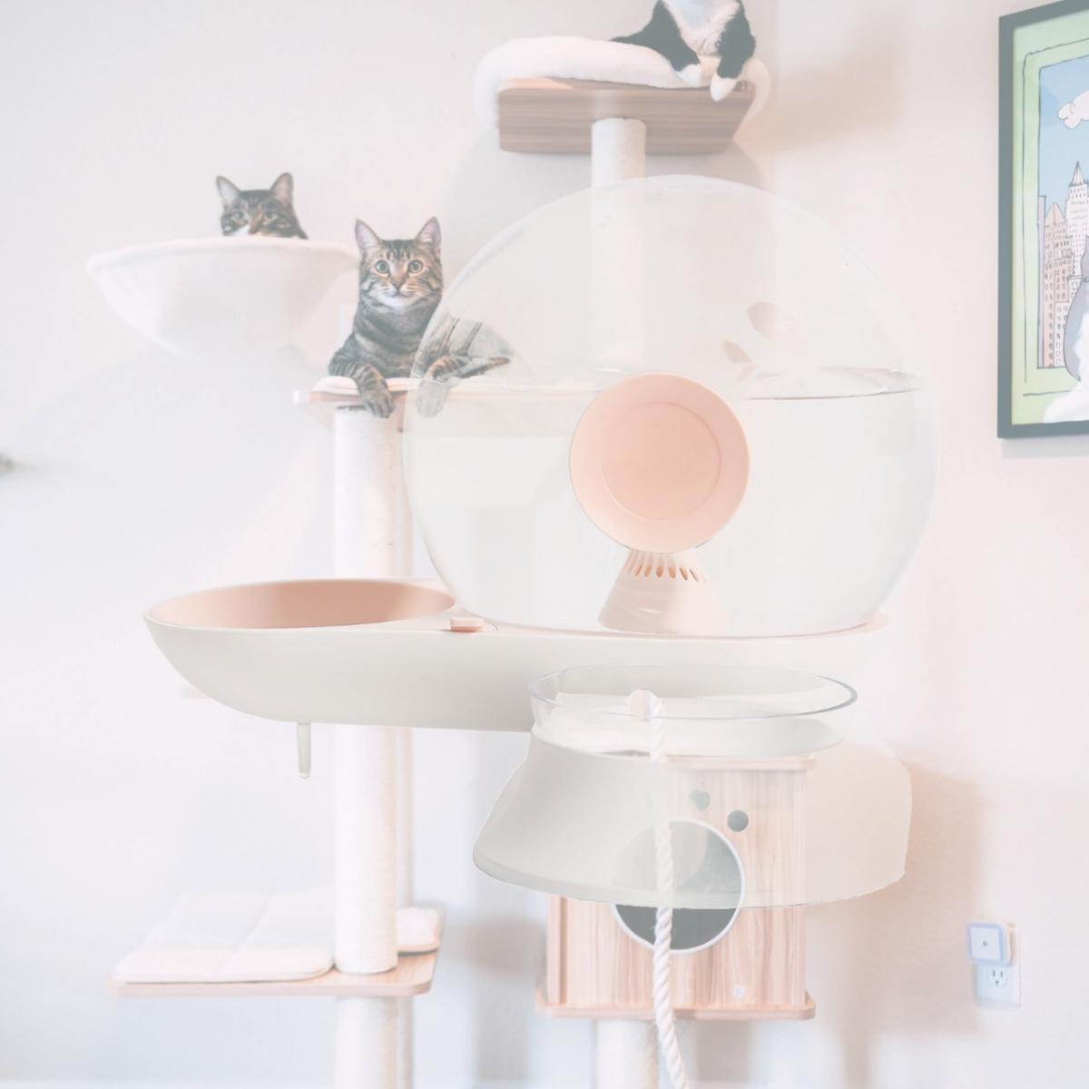 Picture of Pet Life S18PK Auto-Myst Snail Shaped 2-in-1 Automated Gravity Pet Filtered Water Dispenser & Food Bowl&#44; Pink - One Size