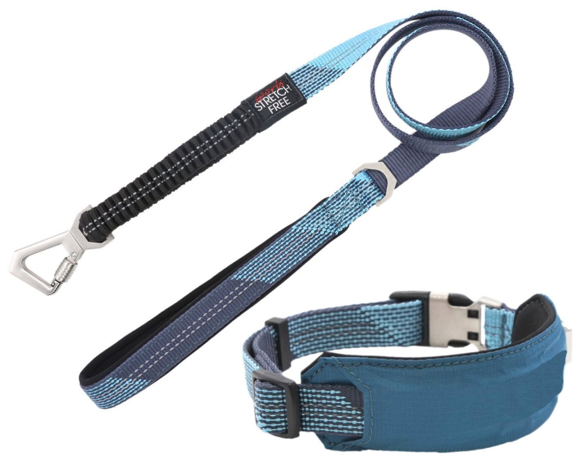 Pet Life CLSH17BLLG Geo-prene 2-in-1 Shock Absorbing Neoprene Padded Reflective Dog Leash & Collar, Blue - Large