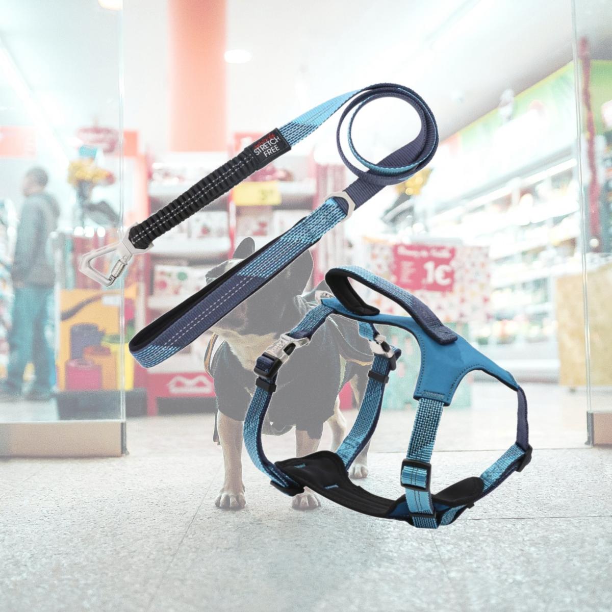 Picture of Pet Life HA41BLSM Geo-prene 2-in-1 Shock Absorbing Neoprene Padded Reflective Dog Leash & Harness&#44; Blue - Small