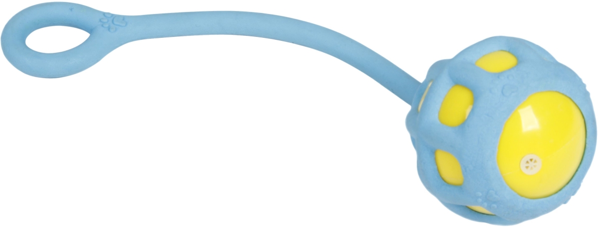 Tug-O-Warp Dog Toy - Blue - One Size