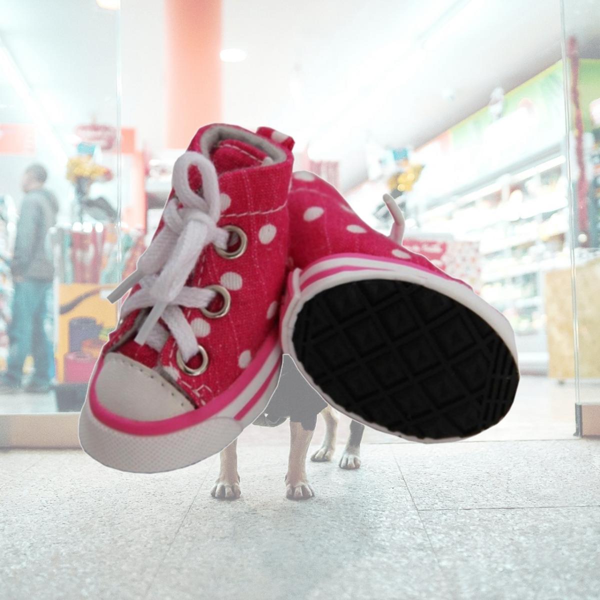Picture of Pet Life LLC F23PKSM Extreme-Skater Canvas Casual Grip Pet Sneaker Shoes - Set Of 4