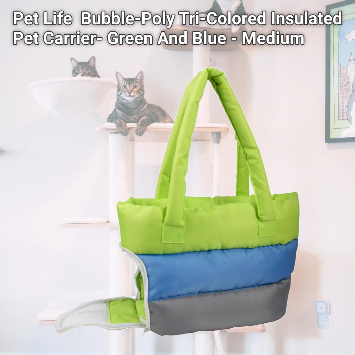 Picture of Pet Life B30GNBLMD Bubble-Poly Tri-Colored Insulated Pet Carrier- Green And Blue - Medium