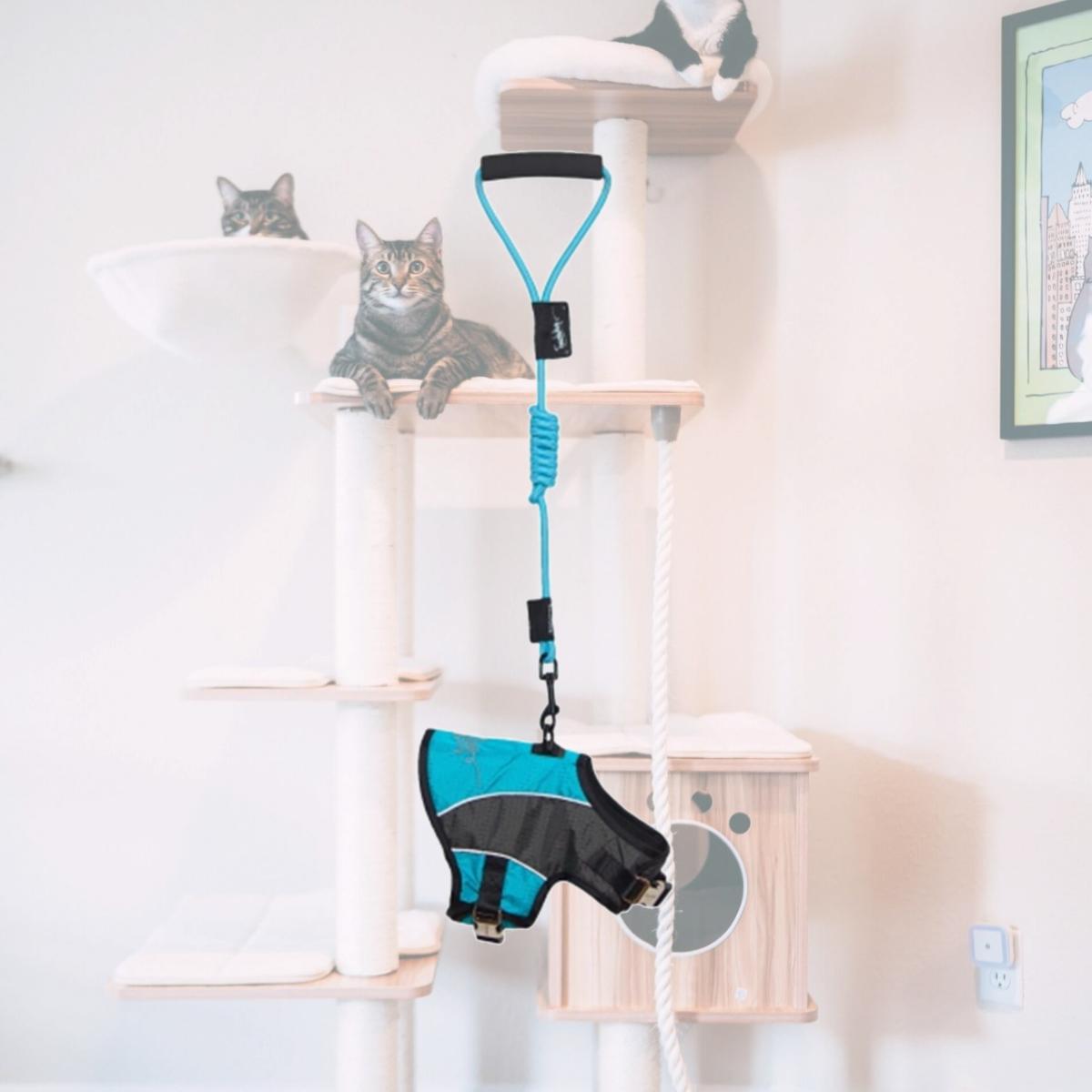 Picture of Pet Life HA21LBLMD Touchdog Reflective-Max 2-In-1 Premium Performance Adjustable Dog Harness And Leash- Light Blue - Medium