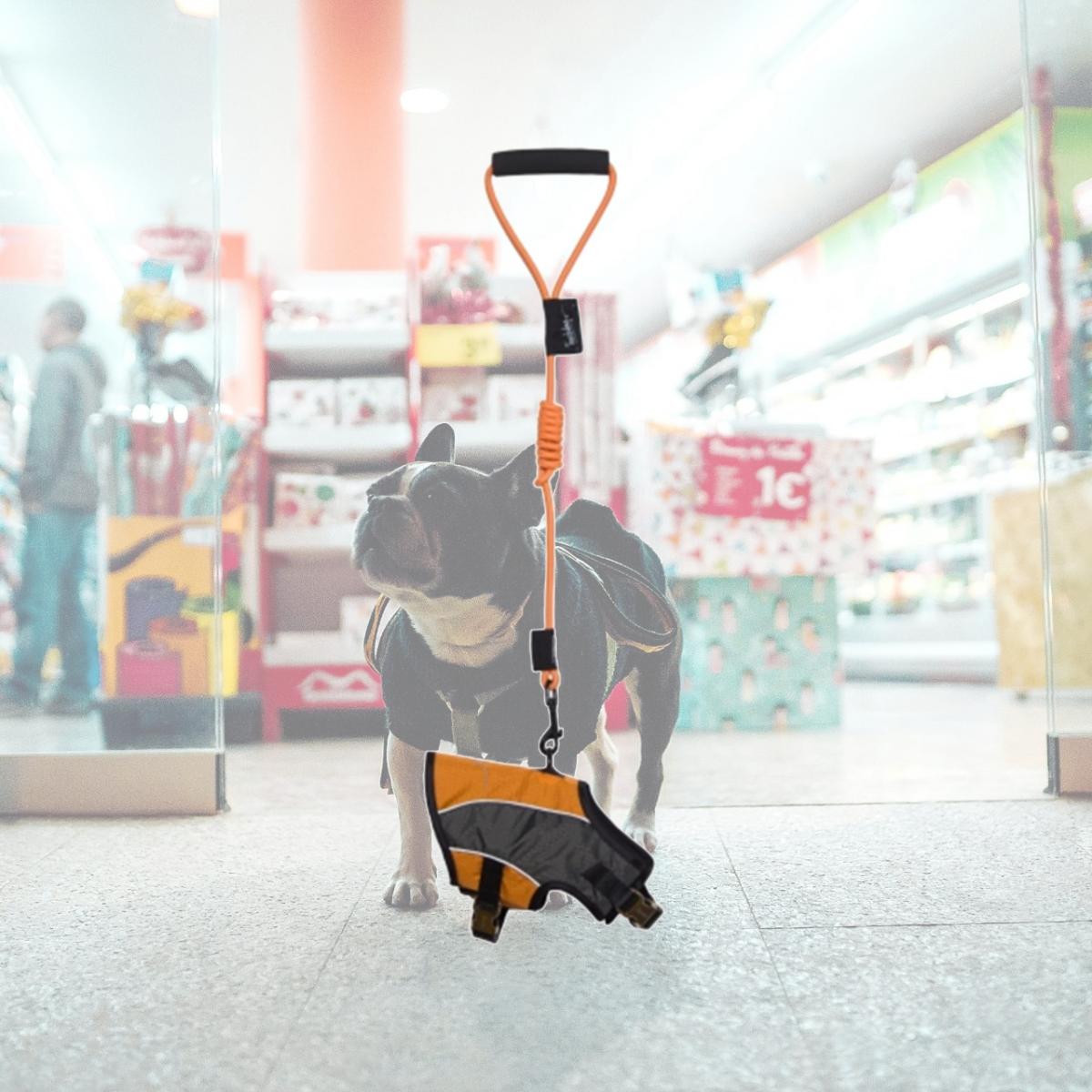 Picture of Pet Life HA21LORLG Touchdog Reflective-Max 2-In-1 Premium Performance Adjustable Dog Harness And Leash- Light Orange - Large