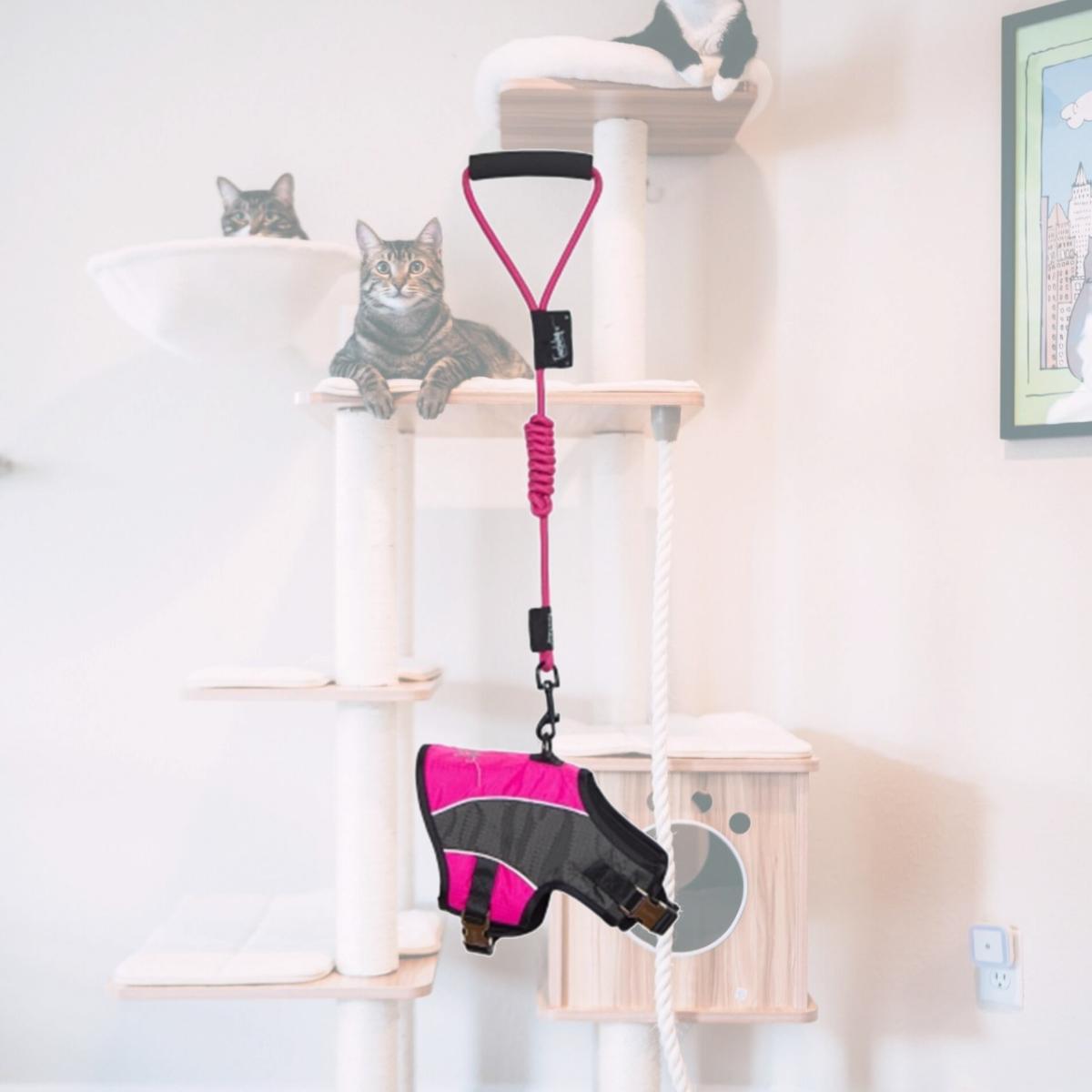 Picture of Pet Life HA21PKSM Touchdog Reflective-Max 2-In-1 Premium Performance Adjustable Dog Harness And Leash- Pink - Small