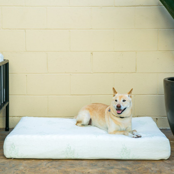 Picture of Petique MM01900006 Bamboo Orthopedic Memory Foam Pet Bed - Large