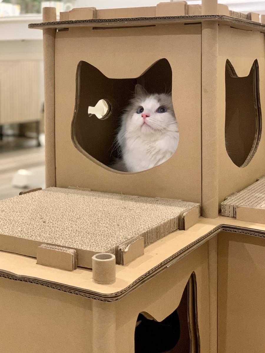 Picture of Petique CH04010200 Feline Fortress Cat House by Petique