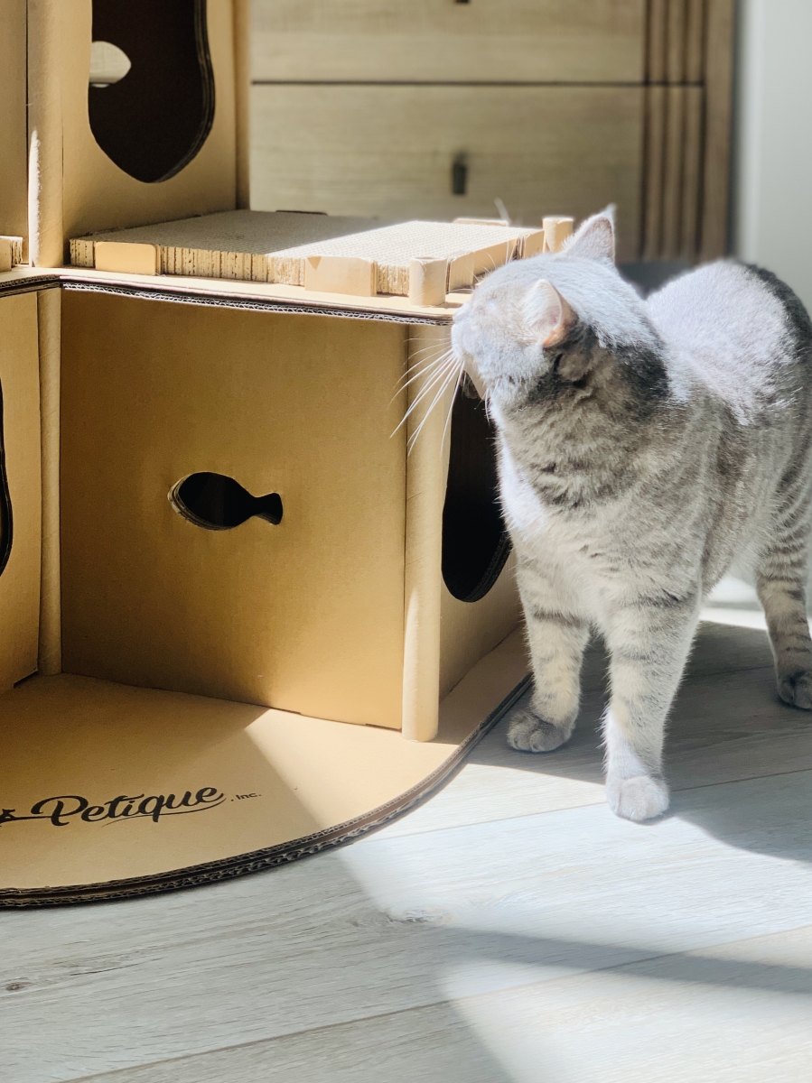 Picture of Petique CH04010200 Feline Fortress Cat House by Petique
