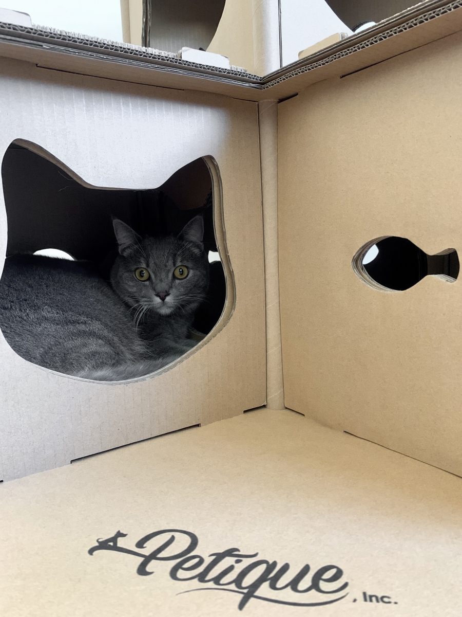 Picture of Petique CH04010200 Feline Fortress Cat House by Petique