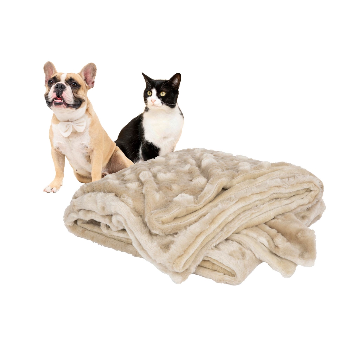 Picture of Petique PB01801000 Velvet Blanky Pet Blanket - Large
