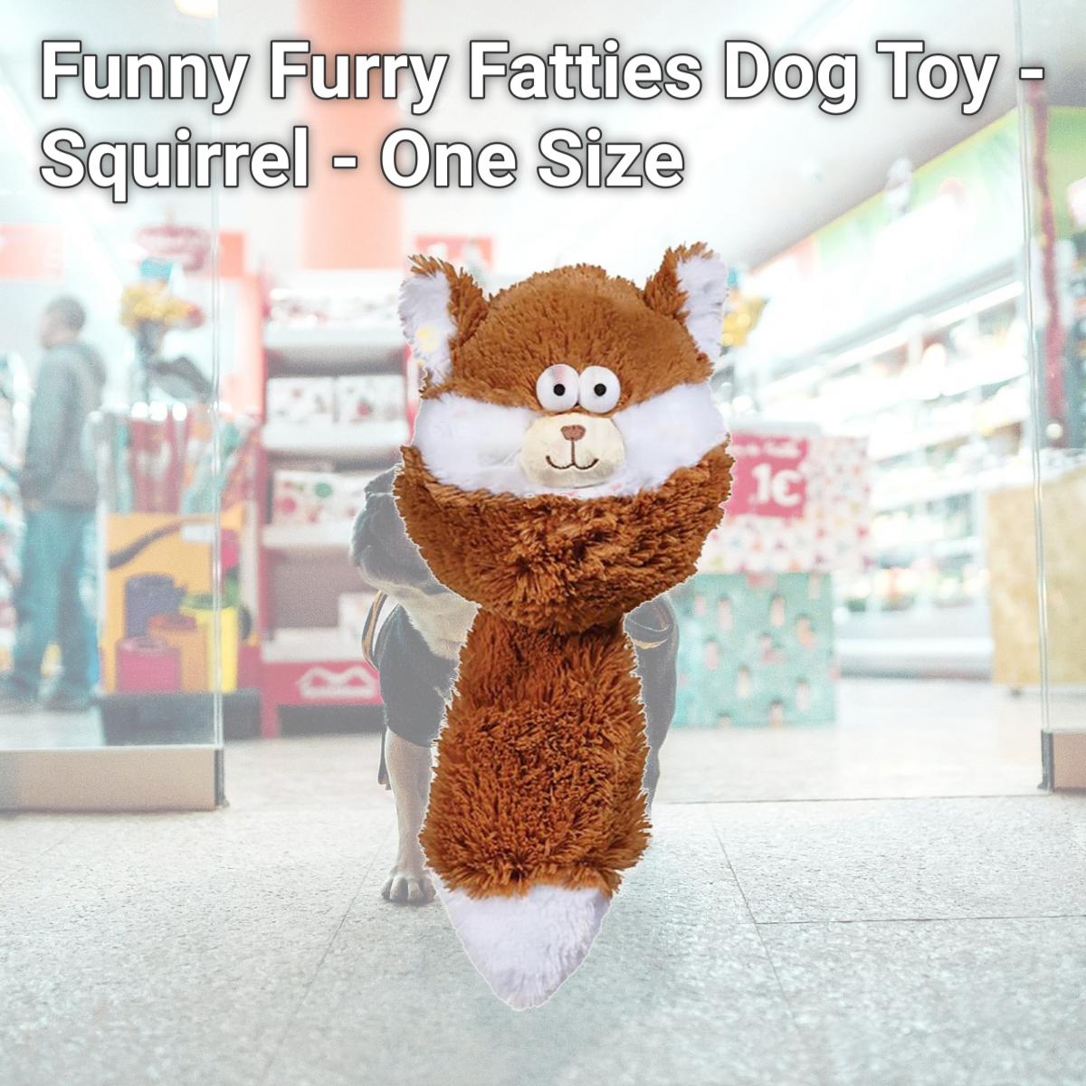 Picture of Zanies ZA5209 18 Funny Furry Fatties Dog Toy - Squirrel - One Size