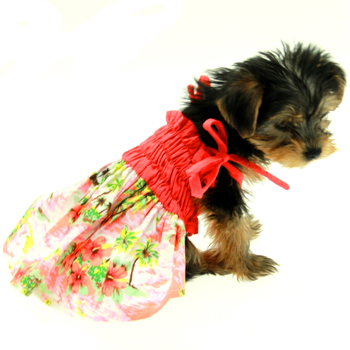Picture of Casual Canine ZM8257 12 75 Hawaiian Breeze Dog Dress - Small