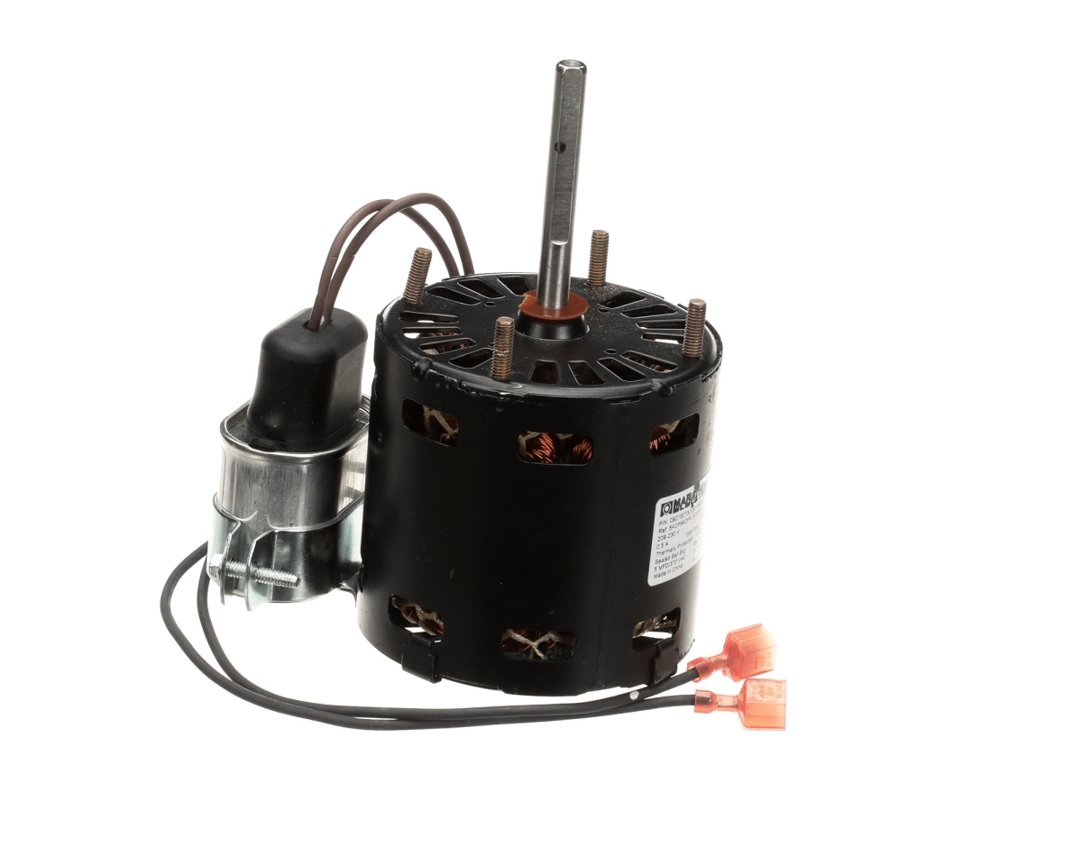 Picture of International Cold Storage 23976 230V N.08216073 HLH PSC Motor