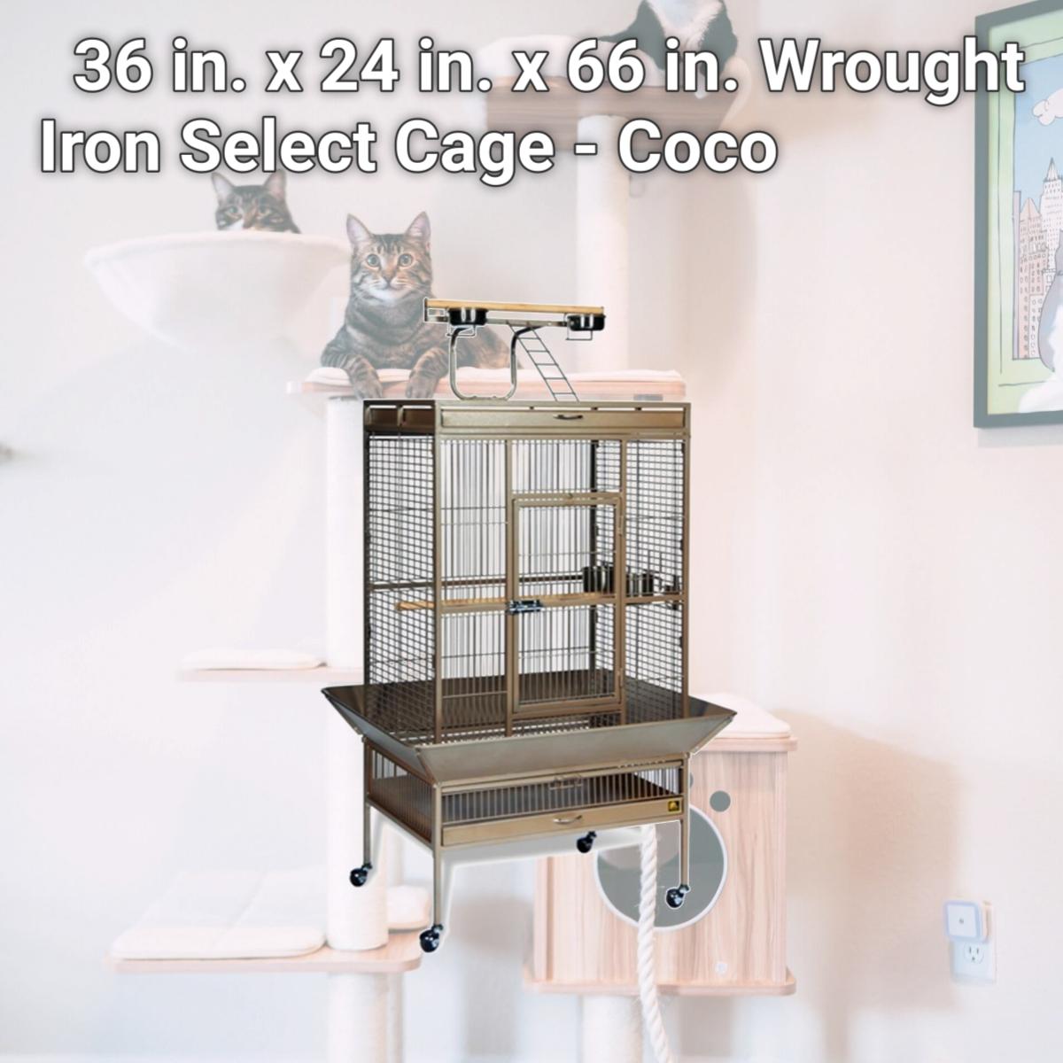 Picture of Prevue Pet Products 3154COCO 36 in. x 24 in. x 66 in. Wrought Iron Select Cage - Coco