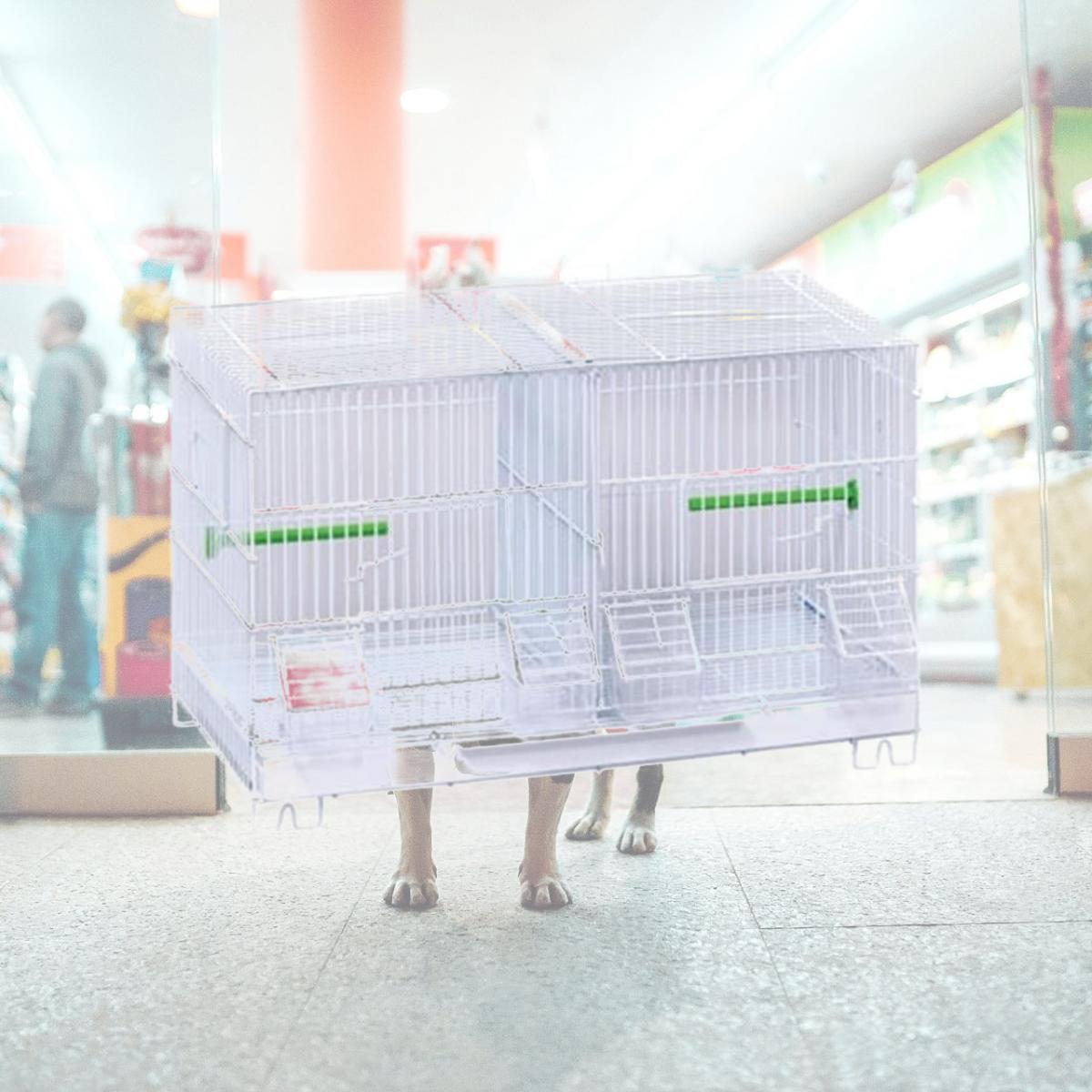 Picture of Prevue Pet Products SPF060 Breeder Cage - White