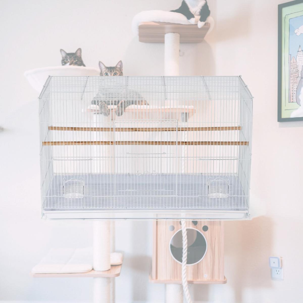Picture of Prevue Pet Products SPF0610 Flight Cage White