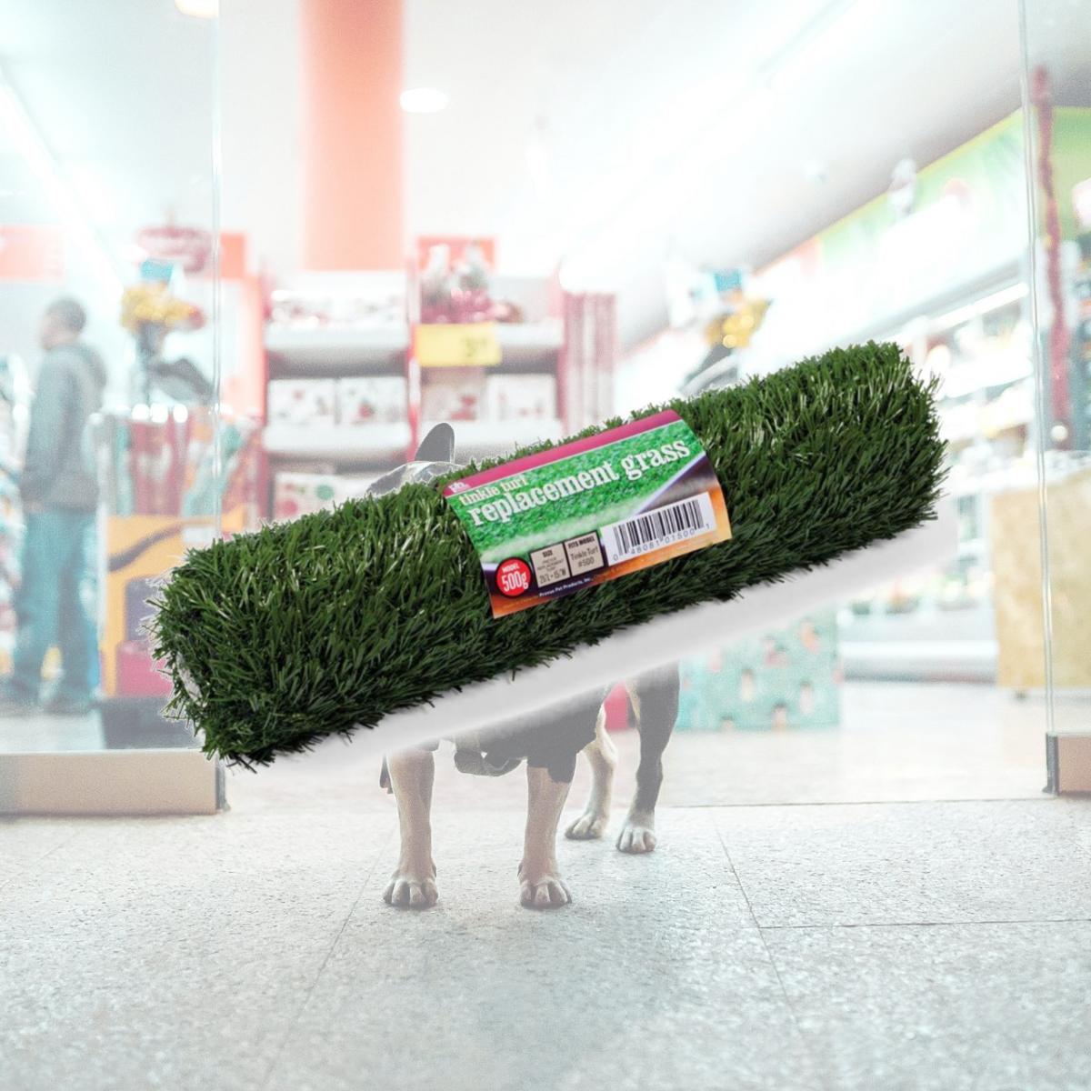 Picture of Prevue 500G Tinkle Turf Replacement Grass&#44; Green - Small