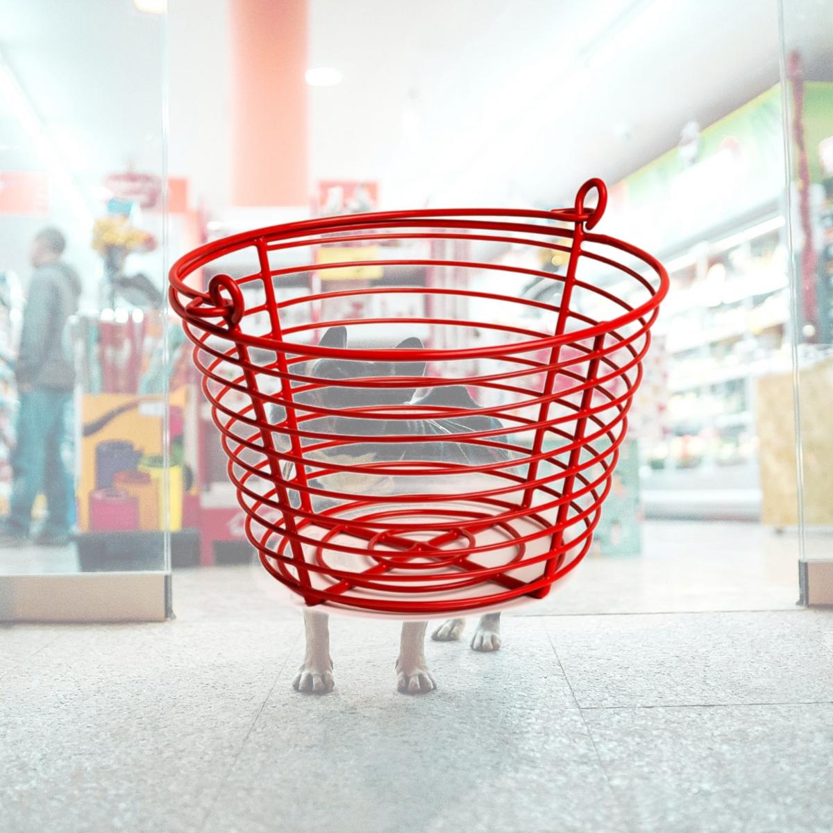 Picture of Prevue SP468 8 in. Dia. Egg Basket, Red