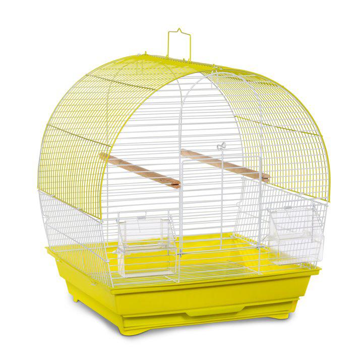 Picture of Prevue SP41613C-W Soho Dome Top Roof Cage&#44; Chartreuse & White