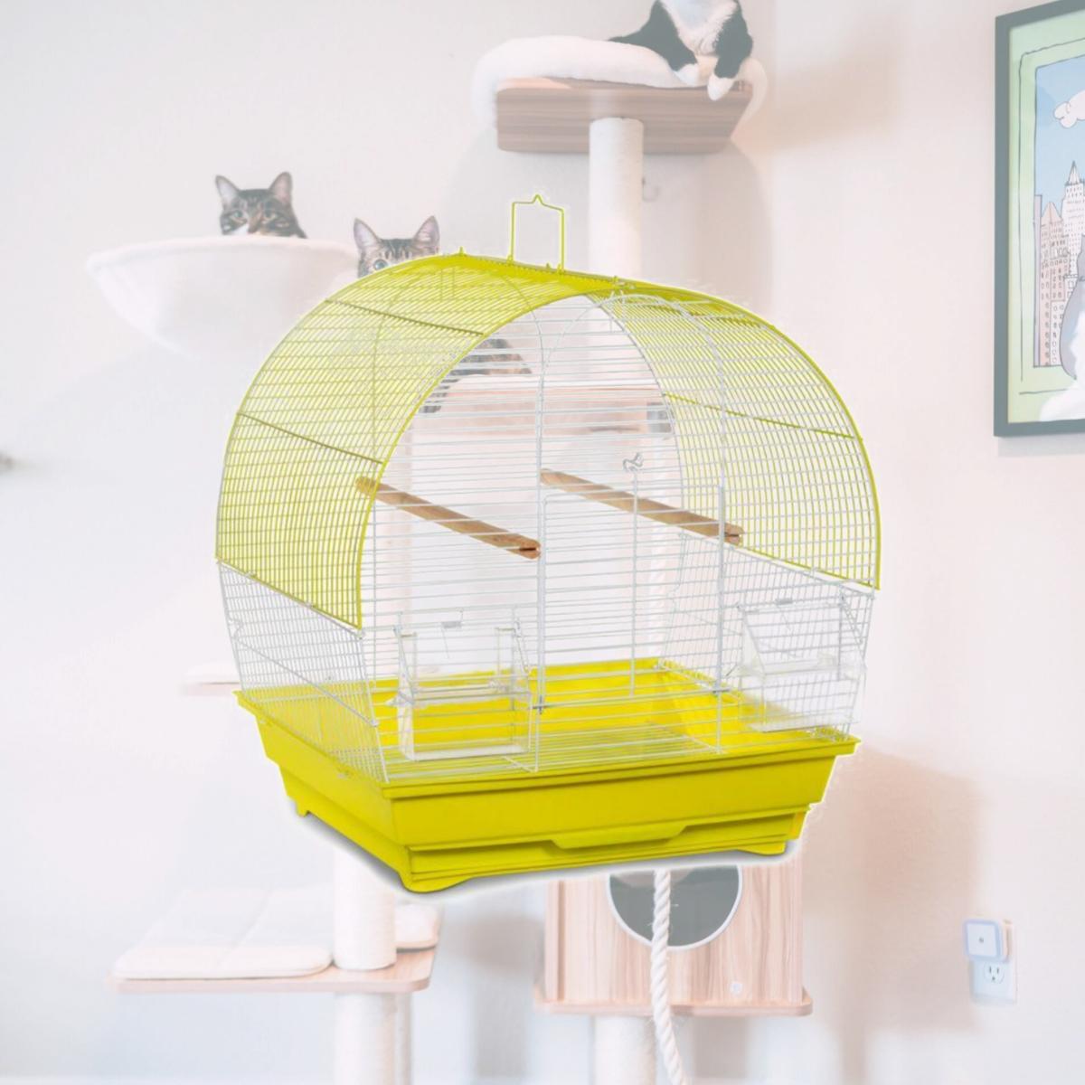Picture of Prevue SP41613C-W Soho Dome Top Roof Cage&#44; Chartreuse & White