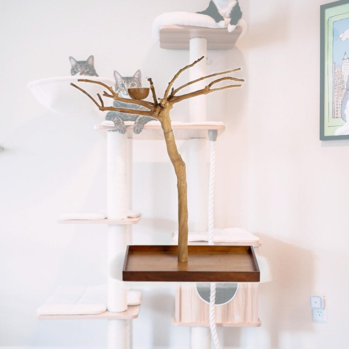 Picture of Prevue 22624 No 2 Coffeawood Tree Style Floor Stand&#44; Medium