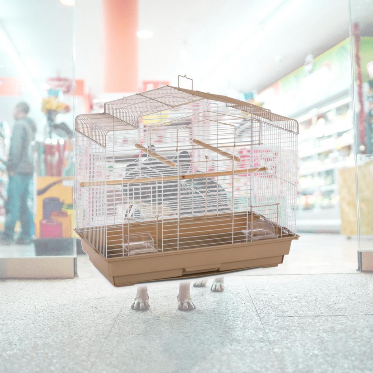 Picture of Prevue SP50051 Cockatiel Flight Bird Cage&#44; Brown & White