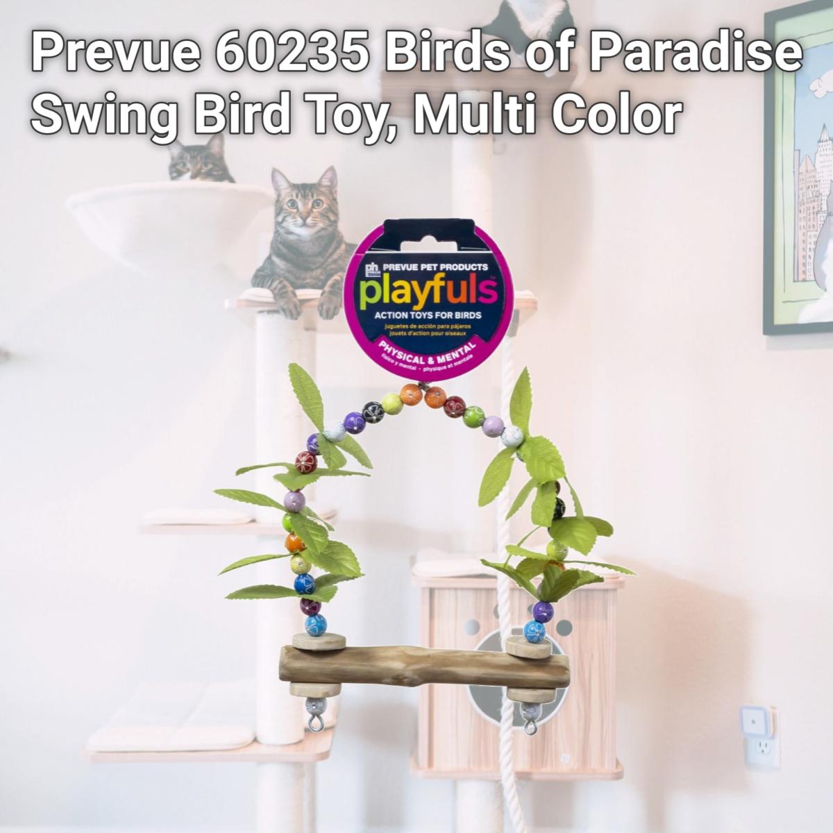 Picture of Prevue 60235 Birds of Paradise Swing Bird Toy, Multi Color