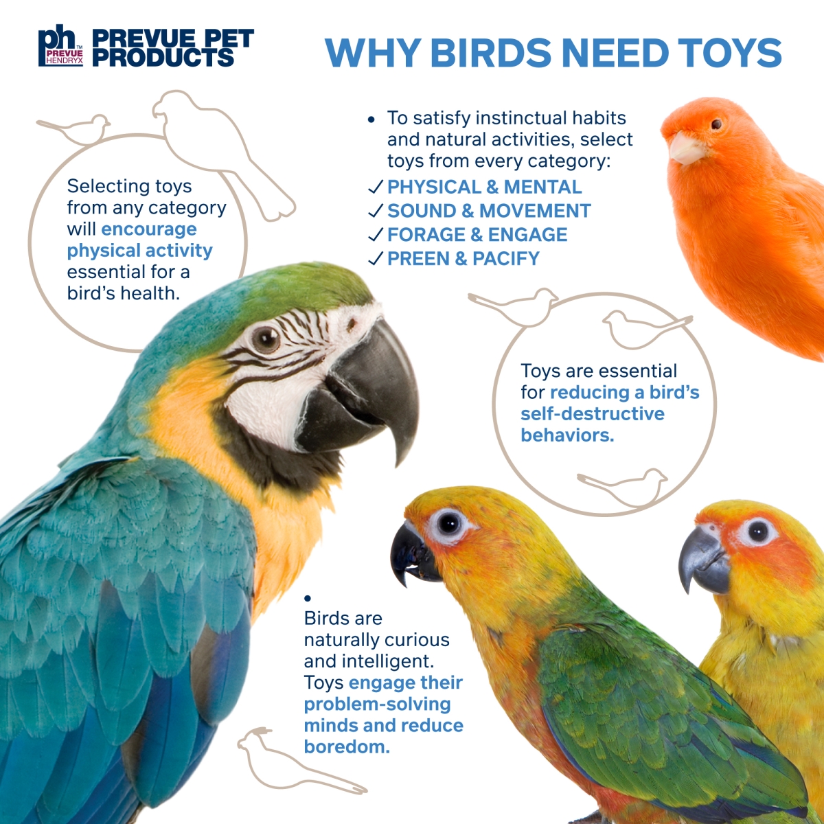 Picture of Prevue Pet Products 63010 Prevue Pet Products Preen & Pacify Bird Toy Bundle 63010