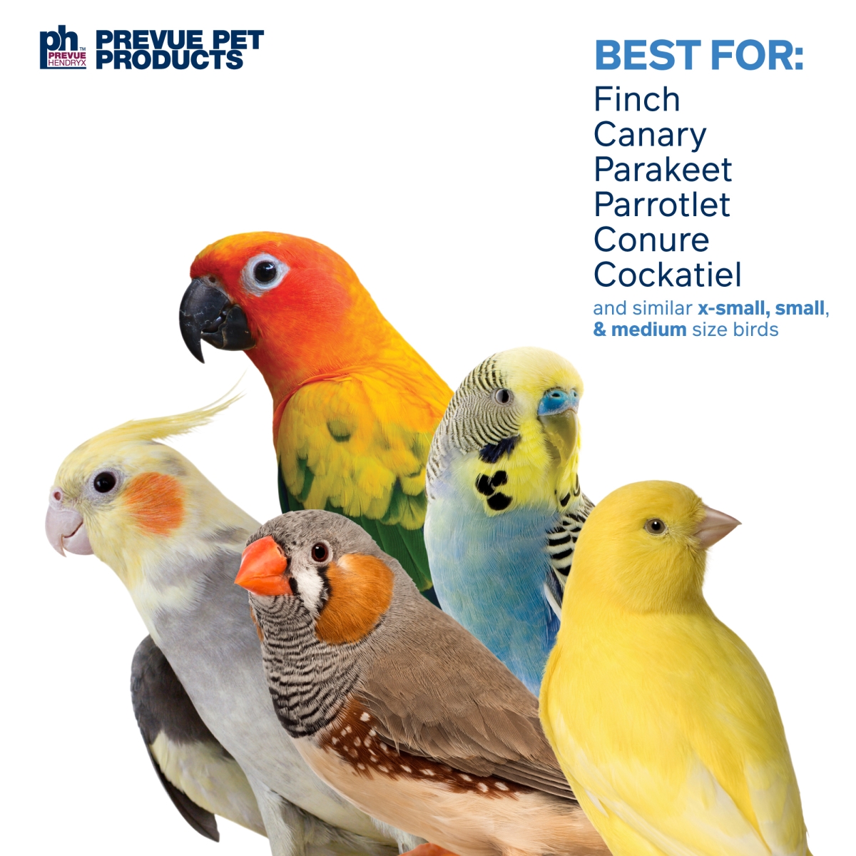 Picture of Prevue Pet Products 63011 Prevue Pet Products Wholesome Naturals Bird Toy Bundle 63011