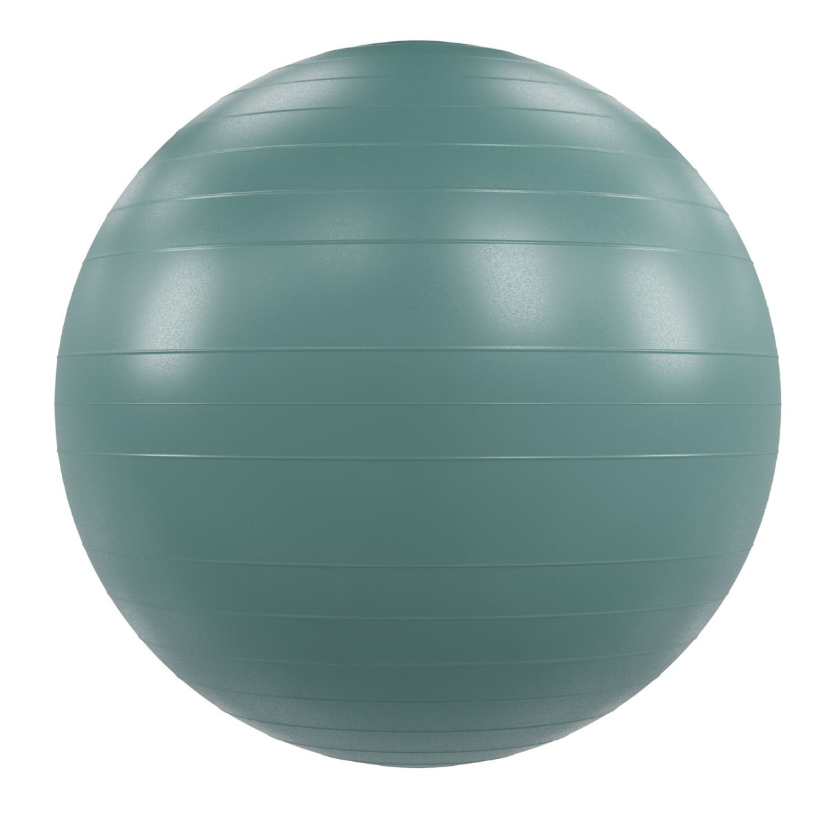 Picture of Power Systems 80753 VersaBall Pro 55cm - Sage Green