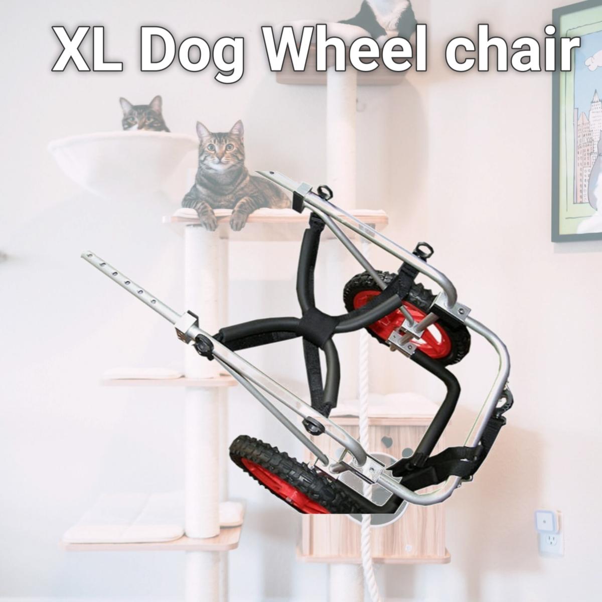 Picture of Bestfriendmobility BFMXL XL Dog Wheel chair