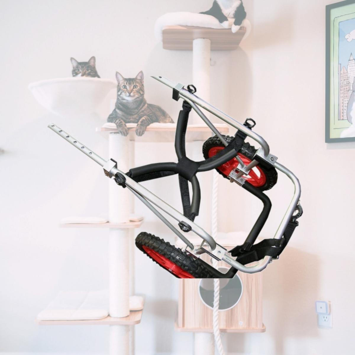 Picture of Bestfriendmobility BFMXL XL Dog Wheel chair