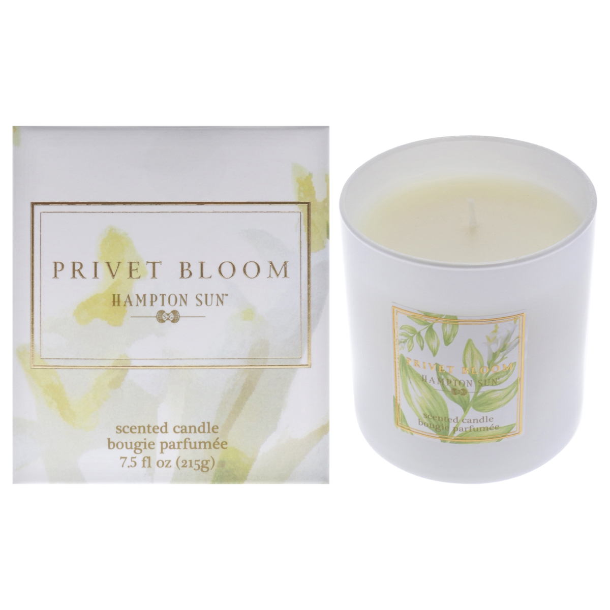 Picture of Hampton Sun I0148955 7.5 oz Privet Bloom Scented Candle for Unisex
