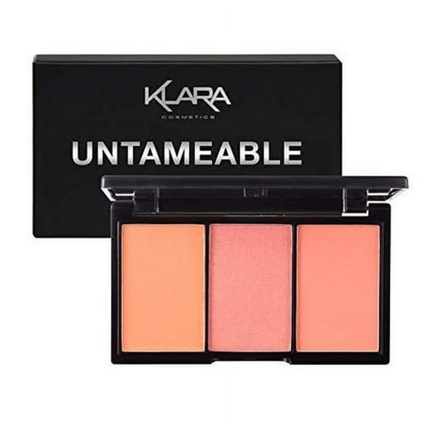 I0148237 0.35 oz All-in-One Palette - Untameable