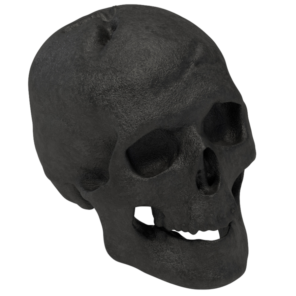 Regal Flame RFA6004 Human Skull Ceramic Wood Large Gas Fireplace Logs Halloween Decor&#44; Black - 7.1 x 6.3 x 5.9 in.