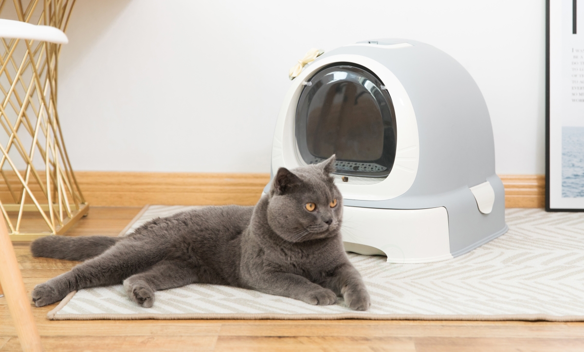 Picture of PawsMark QI003672 15.75 x 17 x 20.5 in. Fully Enclosed Hooded Litter Pan with Front Entry Odor Close Door with Cat Litter Scoop