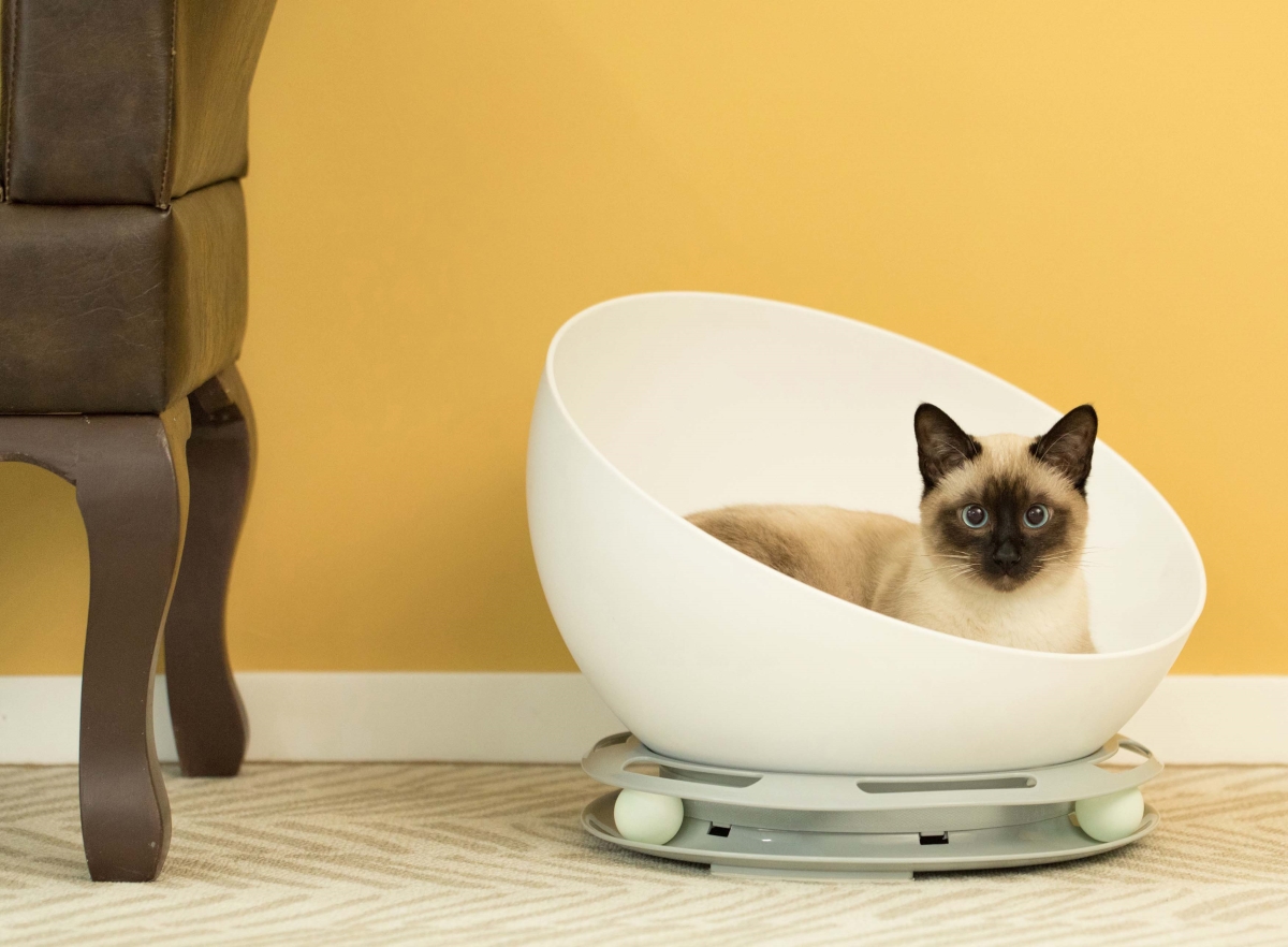 Picture of PawsMark QI003726 12 x 16 x 15 in. Plastic Bowl Shaped Sleeping Bed House Cat Cave Lounge with Ball Toy