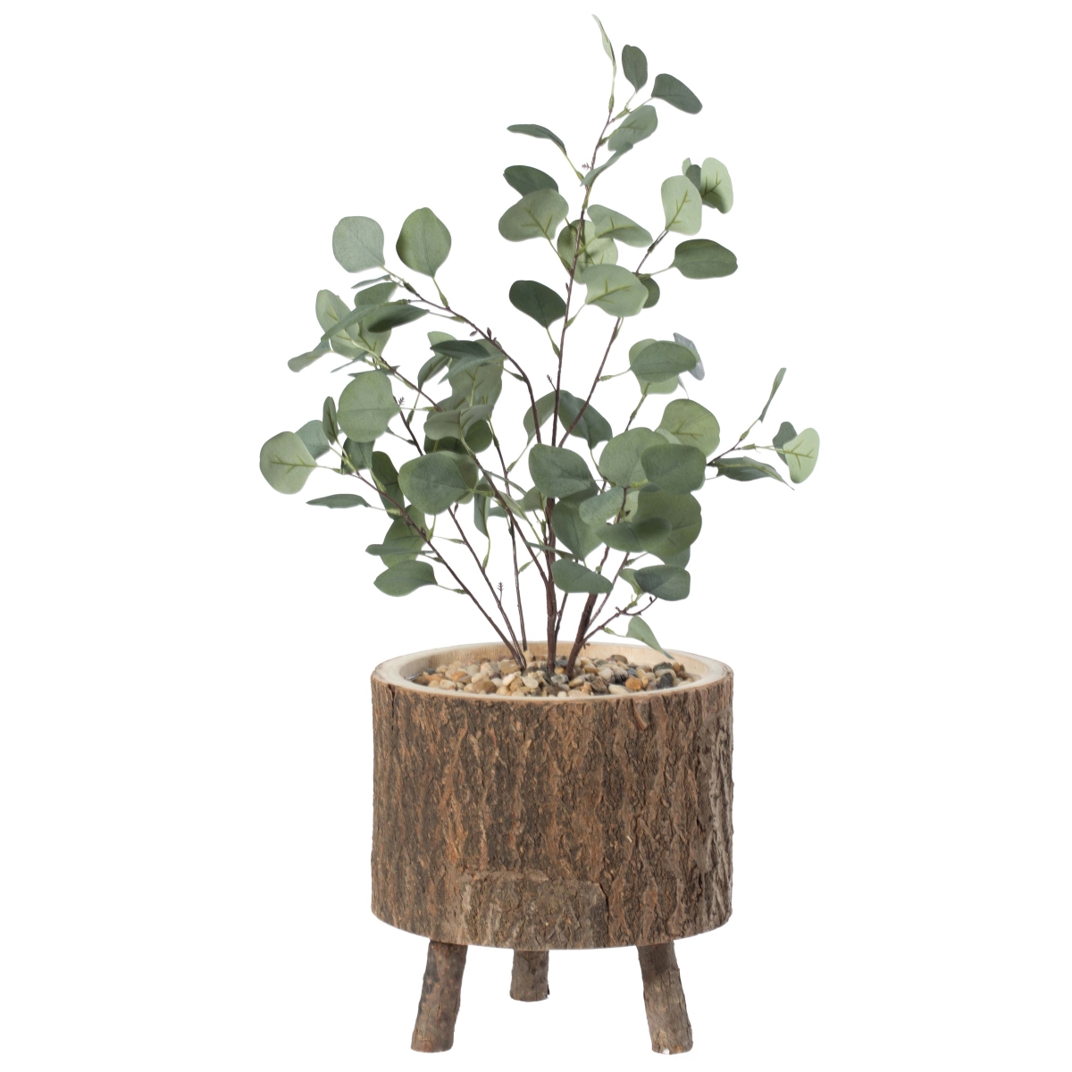 Wooden Stump Tree Log & Bark Planter Pot with Small Tree Branch Legs