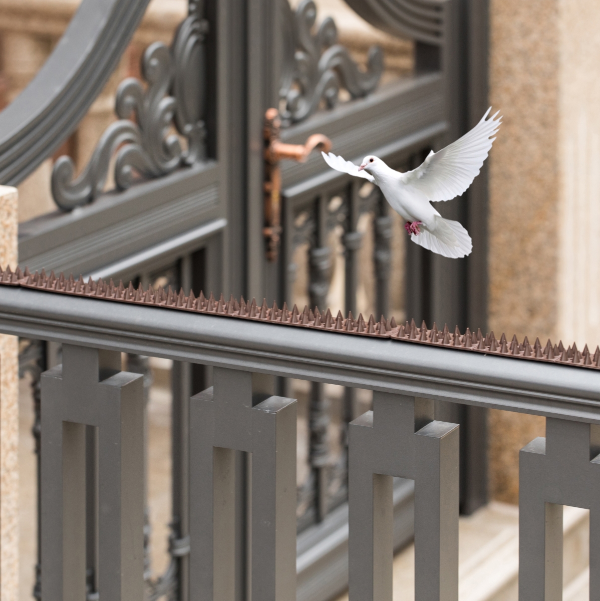 Picture of Gardenised QI004402 Outdoor Plastic Repellent Wall Defender Fence Spikes for Birds, 10 Pack Brown