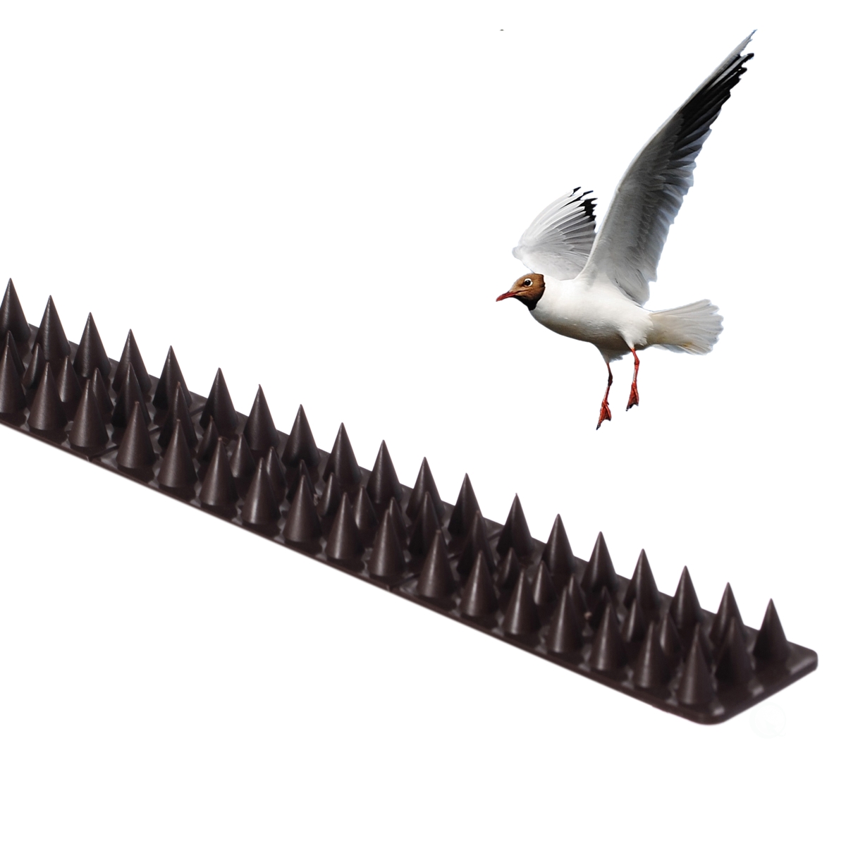 Picture of Gardenised QI004402 Outdoor Plastic Repellent Wall Defender Fence Spikes for Birds, 10 Pack Brown