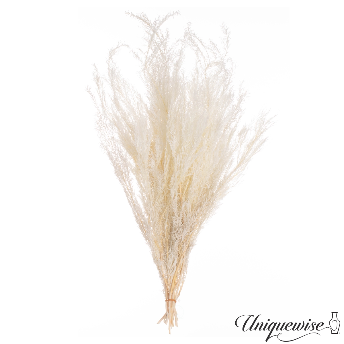 28'' Real Dried Floral Bouquet Natural Melaleuca Bracteata Grass Preserved Flowers for Home Dcor, White (Set of 2 Bunches)