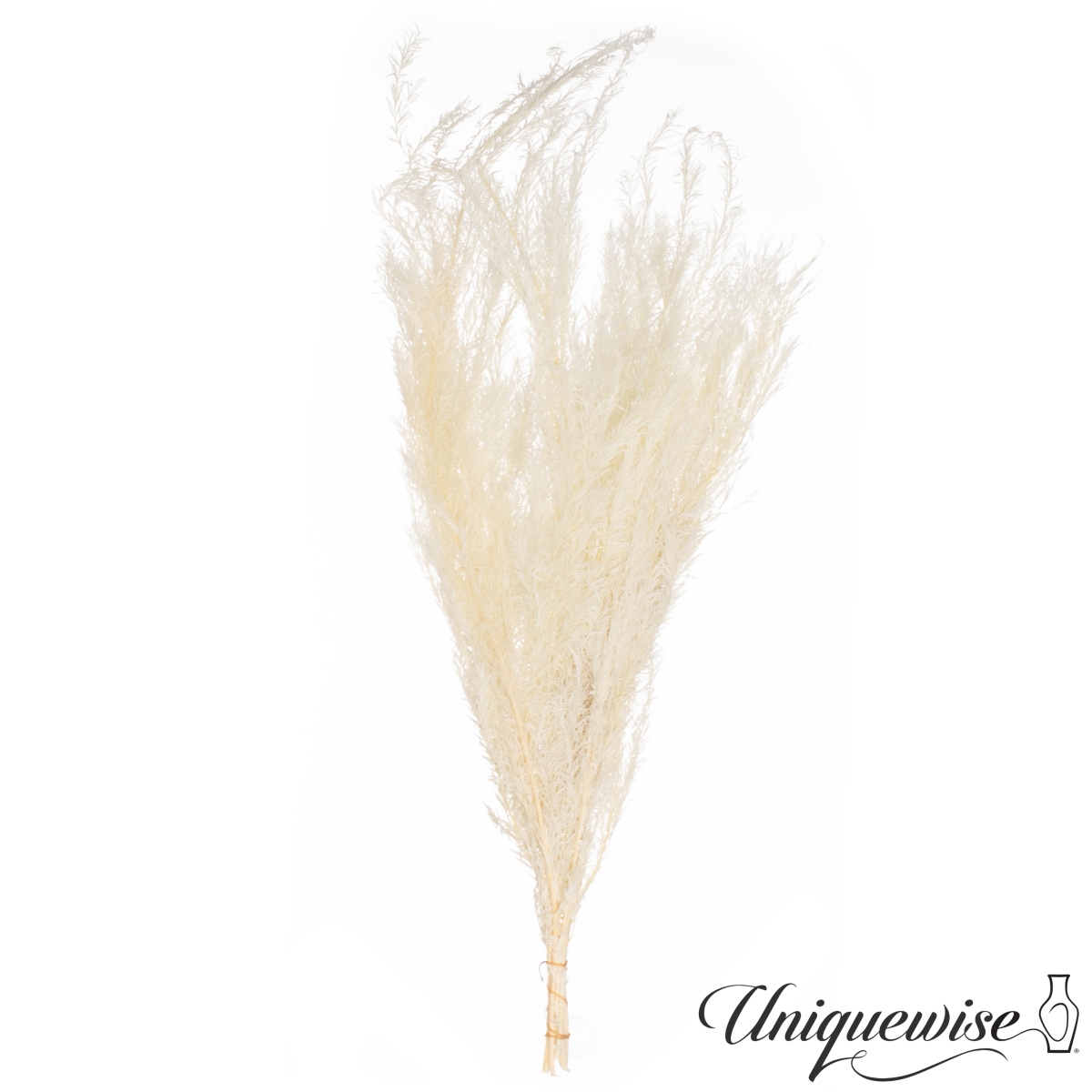 QI004817.WT  28'' Real Dried Floral Decorative Bouquet Natural Melaleuca Bracteata Grass Preserved Flowers for Elegant Home Dcor, White