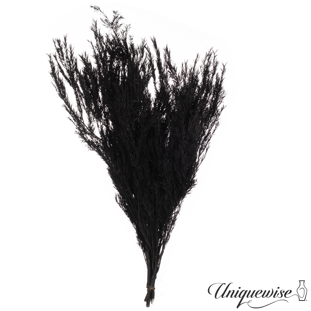 24'' Real Dried Floral Bouquet Natural Melaleuca Bracteata Grass Preserved Flowers for Home Dcor, Black (Set of 2 Bunches)