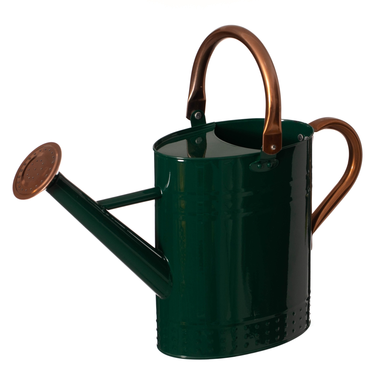 QI004834  1 Gallon Galvanized Metal Watering Can with Removable Long Spout & Sprinkler Head for Indoor & Outdoor Use, Green